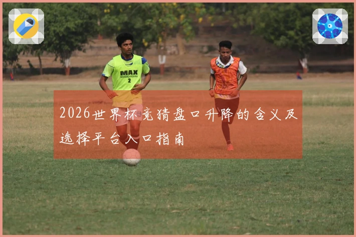 2026世界杯竞猜盘口升降的含义及选择平台入口指南